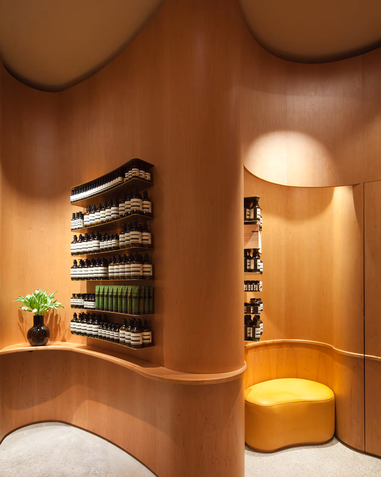 Aesop interior 2